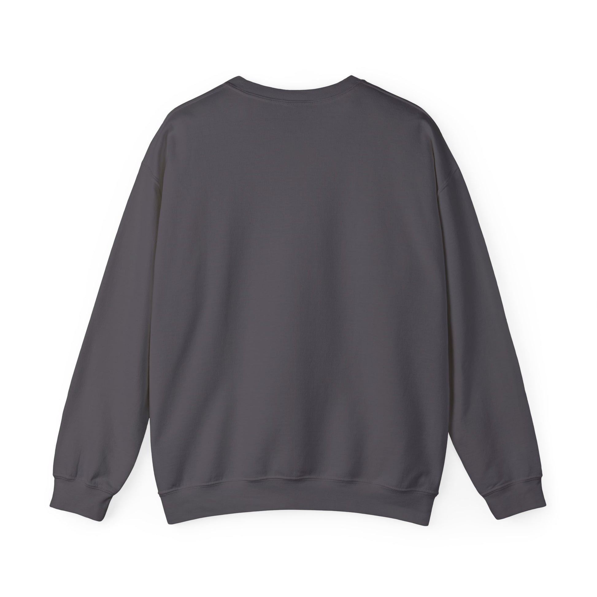 Crewneck "I Believe in Magic" Christmas Sweatshirt - In Style Chics Boutique